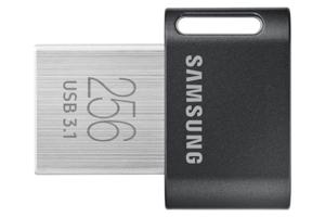 Samsung MUF-256AB USB flash drive 256 GB USB Type-A 3.2 Gen 1 (3.1 Gen 1) Grijs, Zilver