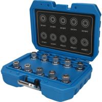 Brilliant Tools BT691290 Velgenslot-assortiment voor BMW, 10-delig