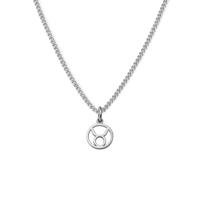 Minimalistische sterrenbeeld ketting - Stainless steel - Zilver - Stier - Taurus