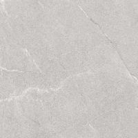 Advance Quartz vloertegel beton look 60x60 cm grijs mat