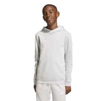 adidas Entrada 26 Hoodie Kids Grijs Wit