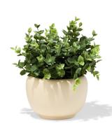 HEMA Bloempot ⌀10x10.4cm keramiek crème (creme)