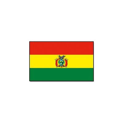 Vlag Bolivia 90 x 150 cm feestartikelen