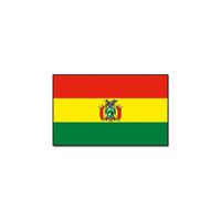 Vlag Bolivia 90 x 150 cm feestartikelen