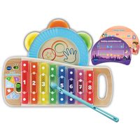 2 in 1 Regenboogxylofoon Muziekinstrument