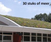Minimaal 30 stuks! Sedummixmat Compleet (incl. drainage type 11c & daktuinsubstraat) per 1.2 m2 max. 25 graden - Sempergreen