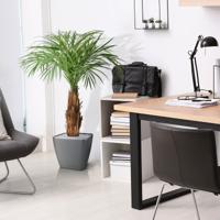 Areca kunstpalm op stam 120cm