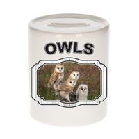 Dieren kerkuil spaarpot - owls/ uilen spaarpotten kinderen 9 cm