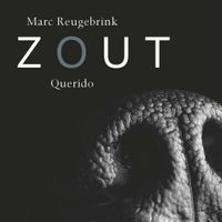 Zout