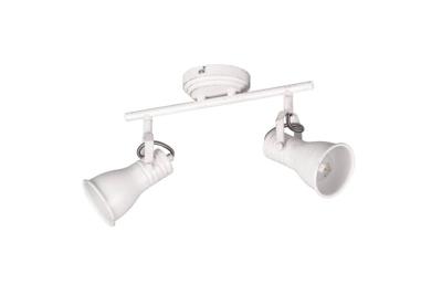 Trio Vintage plafondlampSteam 2-lichts - 813400227