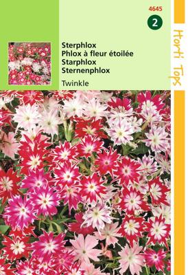 Phlox Cuspidata Compacta Twinkle Gem. - Hortitops