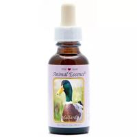 Animal Essences Mallard (wilde eend) 30 Milliliter