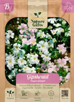 Gipskruid elegans mengsel 60st