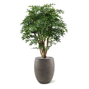 Ruscus deluxe N kunstplant 110cm