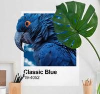 Pantone klassieke blauwe vogel zelfklevende muursticker - thumbnail