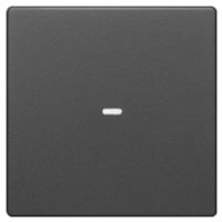 80960226  - Cover plate for switch anthracite 80960226 - thumbnail