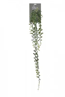 Kunsthangplant Dischidia l105cm groen