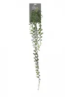 Kunsthangplant Dischidia l105cm groen