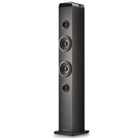 NGS SKY CHARM PRO Zwart 50 W Bluetooth luidspreker