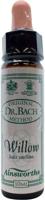 Ainsworths Willow Bach 10 Milliliter