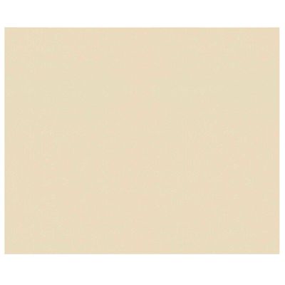 Bakpapier - Herbruikbaar - Niet plakkend - 40 x 33 cm