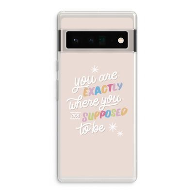 Right Place: Google Pixel 6 Pro Transparant Hoesje