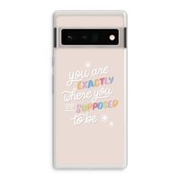 Right Place: Google Pixel 6 Pro Transparant Hoesje