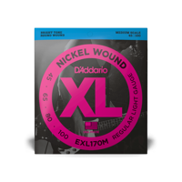 D&apos;Addario EXL170M
