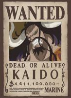 Poster One Piece - Wanted Kaido 38x52cm