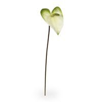 Anthurium kunstplant M 55 cm wit-groen - thumbnail
