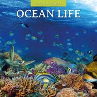 Ocean Life Kalender 2026