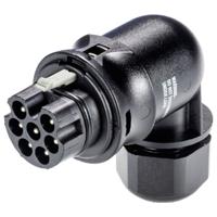 Wieland Electric 96.074.4153.1 Steekverbinder