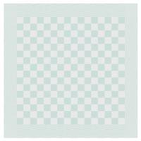 DDDDD theedoek barbeque 65x65 pastel green