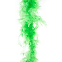 Carnaval verkleed veren Boa kleur fluor groen 2 meter - Verkleed boa