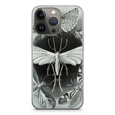 Haeckel Tineida: iPhone 13 Pro Transparant Hoesje