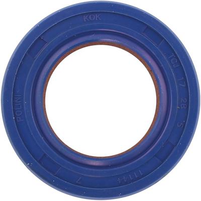 Polini Simmerrings 17x28x5 teflon/viton