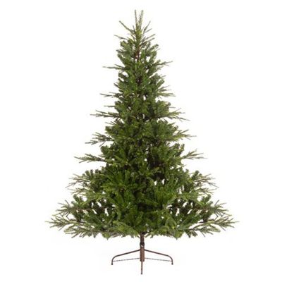 Serbian spruce 1604tips green - Everlands