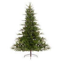 Serbian spruce 1604tips green - Everlands