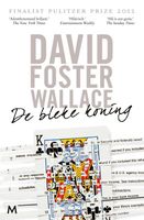 De bleke koning - David Foster Wallace - ebook - thumbnail