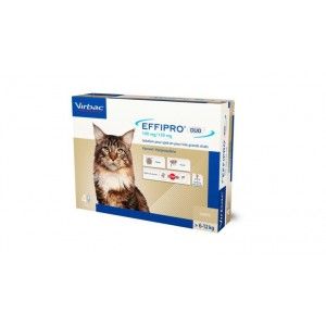 Virbac Effipro Duo Spot-on voor katten van 6 tot 12 kg 2 x 4 pipetten