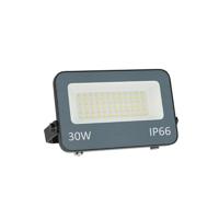 LED floodlight 30W met CCT switch | IP65 | met kabel | ThatsLed | ThatsLed | ThatsLed | ThatsLed