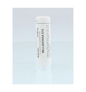Belladonna D12