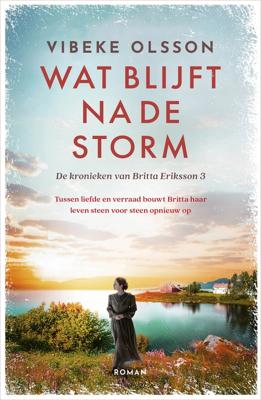 Wat blijft na de storm - Vibeke Olsson - ebook