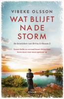 Wat blijft na de storm - Vibeke Olsson - ebook