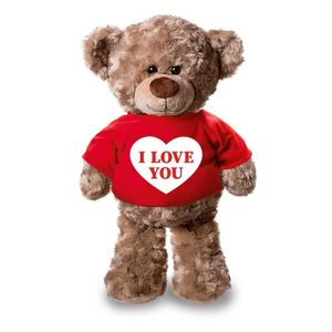 Knuffel teddybeer met I love you hartje rood shirt 24 cm