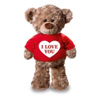 Knuffel teddybeer met I love you hartje rood shirt 24 cm - thumbnail