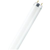OSRAM TL-lamp Energielabel: G (A - G) G13 36 W Warmwit Buis (Ø x l) 26 mm x 1213.5 mm 1 stuk(s) - thumbnail