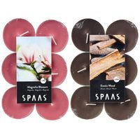 Candles by Spaas geurkaarsen - 24x stuks in 2 geuren Magnolia Blossom en Exotic wood - geurkaarsen - thumbnail
