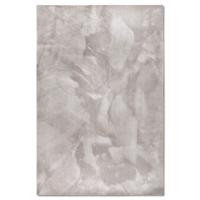 Vloerkleed Leon - Lichtgrijs maat: 230x160cm - materiaal: Polyester - Dekbed-Discounter.nl