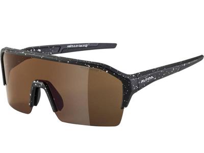 Zonnebrillen Alpina Ram HR Q-Lite Black-Blur Matt